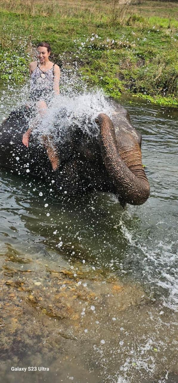 Sisai Park Village Chitwan Dış mekan fotoğraf