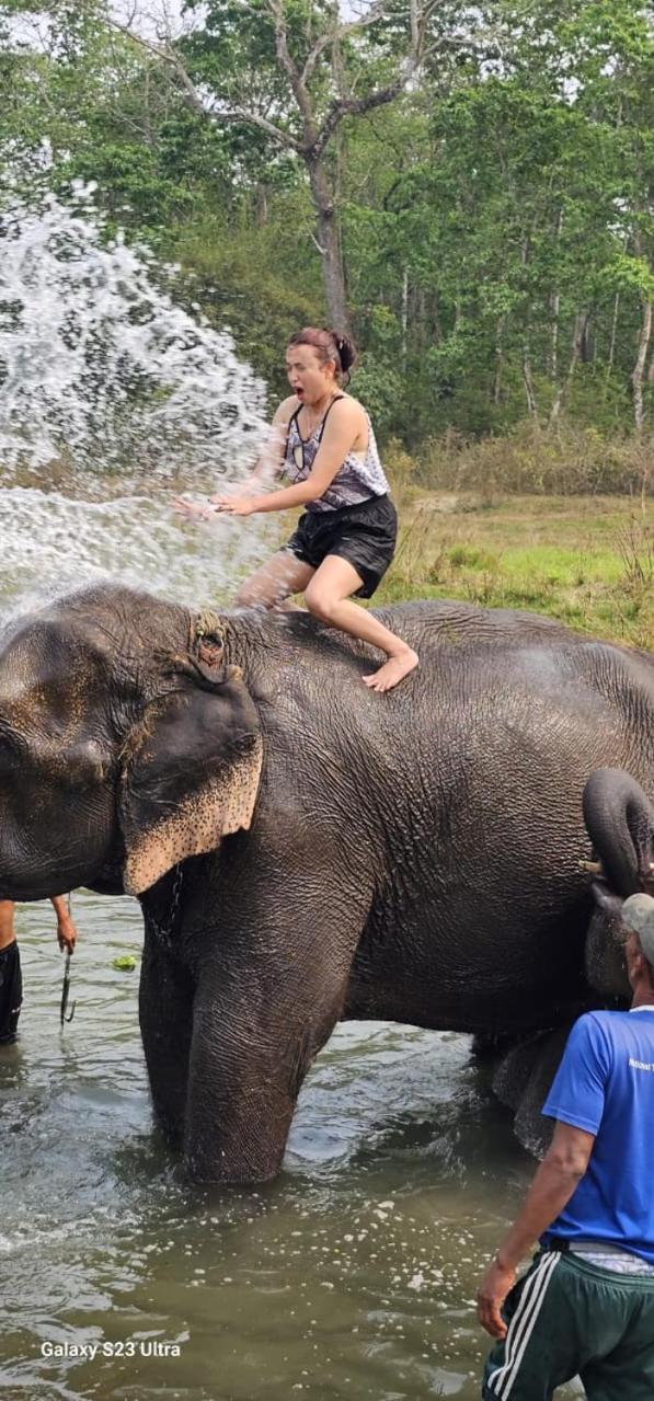 Sisai Park Village Chitwan Dış mekan fotoğraf